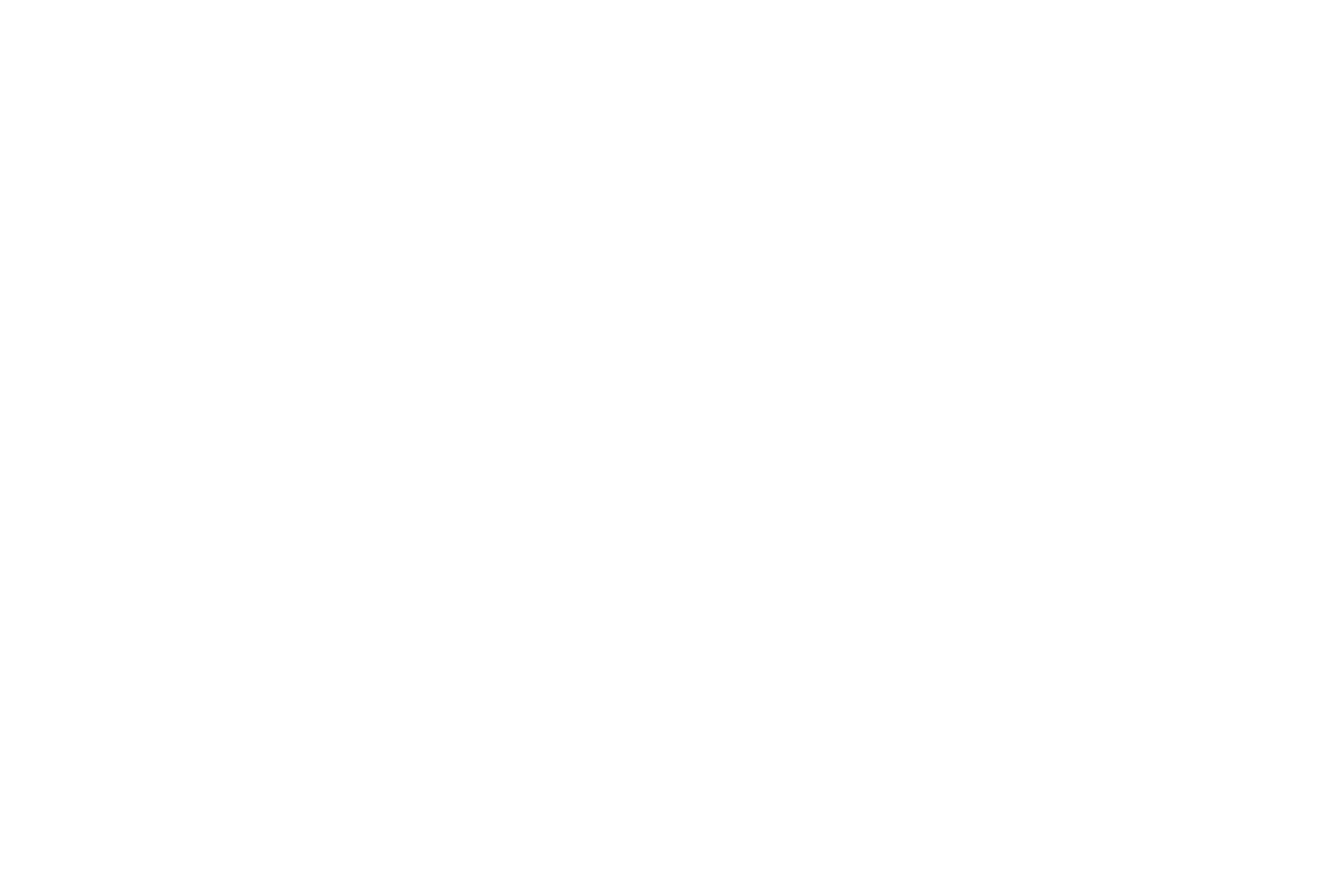 QH Command